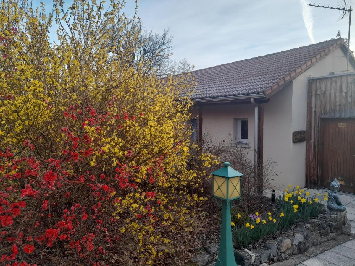 Hotel De L'Ile D'Amour Langeac Exteriör bild